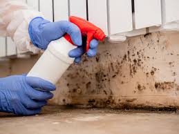 Best Crawl Space Mold Remediation  in USA